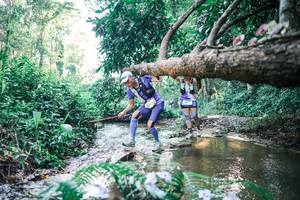 BIB: 
                            <button type="button" onclick="openModal(25436692)" class="btn btn-primary btn-sm float-right btn-popup" data-toggle="modal" data-target=".modal-high-quality">
                        <i class="fas fa-shopping-cart"></i> Add to Cart
                    </button>
                                            <button type="button" onclick="isThisMe(25436692, true)" class="btn btn-success btn-sm float-right btn-popup btn-isme hidden" data-toggle="tooltip" data-placement="bottom" title="นี่คือรูปของคุณใช่ไหม คลิกที่นี่เพื่อเอาเข้าอัลบั้ม">
                        <i class="fas fa-plus"></i> Add to album
                    </button>
                    <button type="button" onclick="isThisMe(25436692, false)" class="btn btn-warning btn-sm float-right btn-popup btn-isnotme hidden">
                        <i class="fas fa-ban"></i> Remove from album
                    </button>